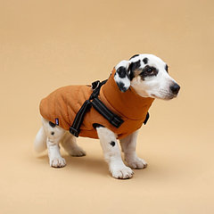 Куртка для собак со шлейкой, размер S (ДС 25, ОГ 35, ОШ 25 см) , горчичная