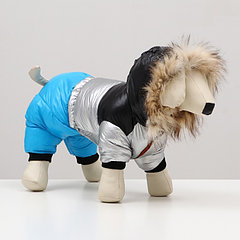 Комбинезон "Пушок", размер 16 (ДС 36 см, ОГ 46 см, ОШ 35 см), голубой