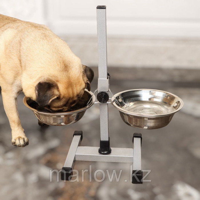 Подставка с мисками, 2 х 700 мл, высота 40 см, разборная с верхним фиксатором, хром - фото 1 - id-p122110632
