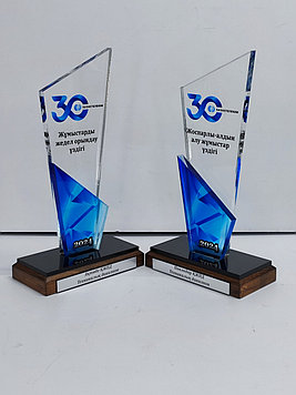 Статуэтка - инноватор года