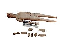 BIX-H2400 Полнофункциональный манекен для обучения уходу (с измерением артериального давления)