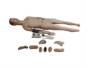 BIX-H2400 Полнофункциональный манекен для обучения уходу (с измерением артериального давления)