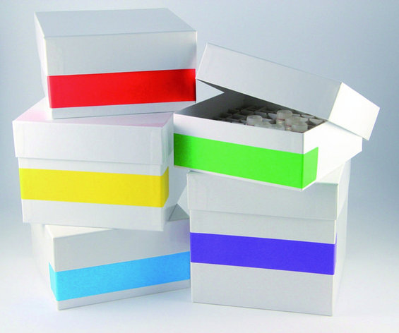 Крио этикетки Ratiolab Rainbow, фото 1