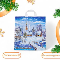 Пакет "Снежное царство", полиэтиленовый с петлевой ручкой, 40х42 см.