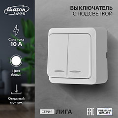 Выключатель Luazon Lighting "Лига", 10 А, 2 клавиши, накладной, c подсветкой, белый