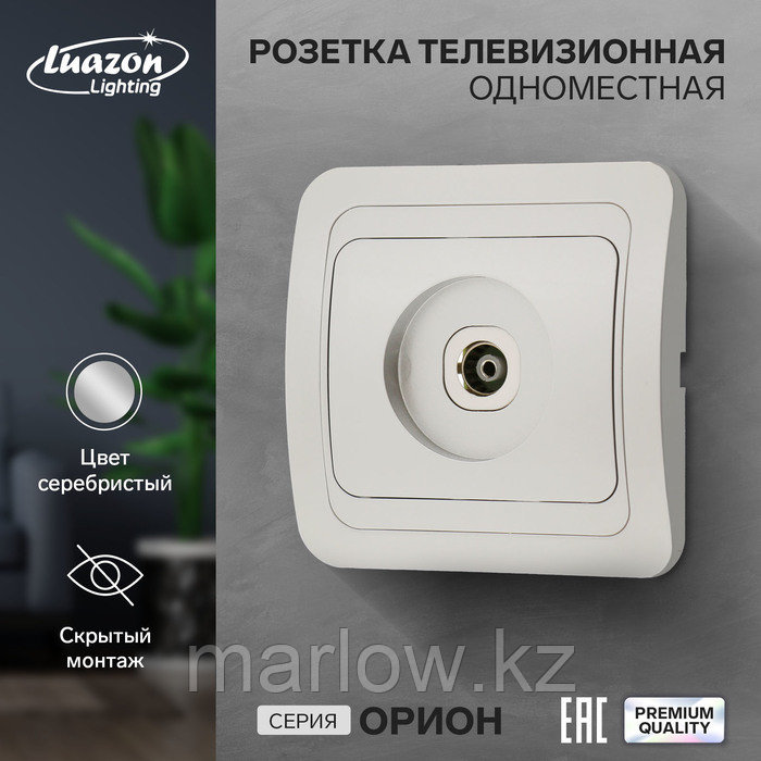 Розетка телевизионная одноместная Luazon Lighting "Орион", скрытая, серебристая, фото 1