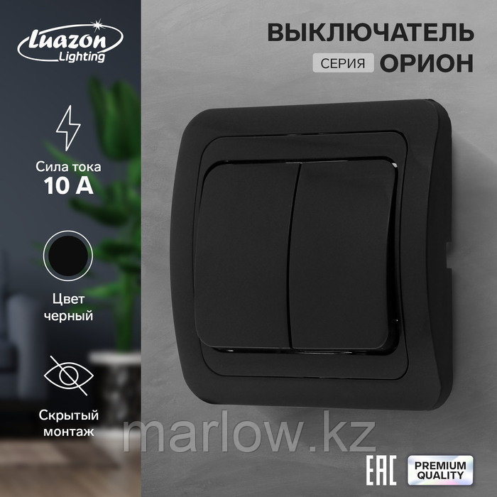 Выключатель Luazon Lighting "Орион", 10 А, 2 клавиши, скрытый, черный, фото 1