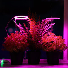 Фитосветильник для растений, светодиодный, 4 Вт, 170 мм, IP20, 5 В, USB, в горшок, 2 круга, мультисп ...