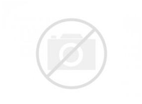 Болт Б 55