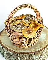 Шляпки пантерного мухомора 5 гр