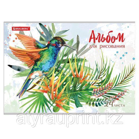 Альбом для рисования А4 24 л., скоба, обложка картон, BRAUBERG, 202х285 мм, "Вкусняшки" (2 вида), 10