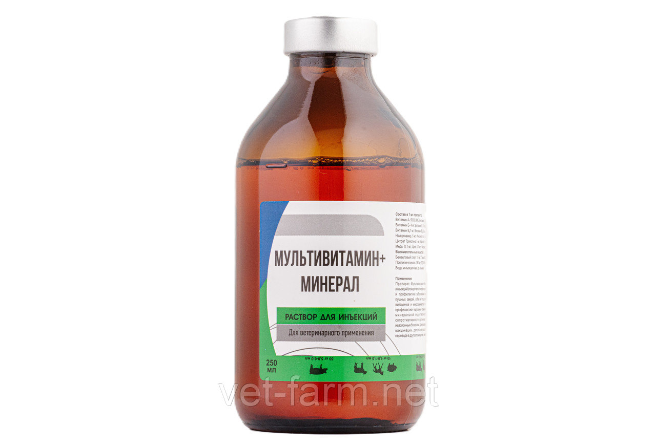 Мультивитамин + минерал (250 мл), фото 1
