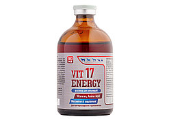 Вит 17 Энерджи (100 мл)