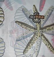 Шторка для ванной Cortina para Bano 180*180 см J-6010 морской принт(ракушки)