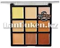 Набор консилеров/корректоров 9 цветов DoDo Girl