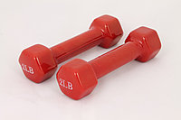Гантели для фитнеса 2LB Red