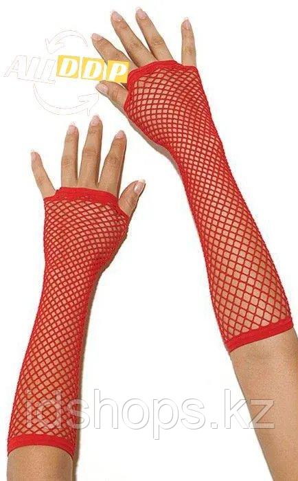 Порнодағы Орел Харада Эротикалық колготкалар