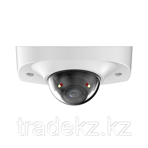 DH-IPC-HDBW2449F-AS-IL Купольная IP видеокамера, фото 1
