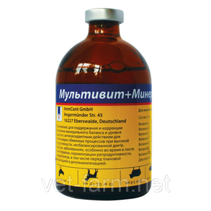 Мультивит + Минералы 100 мл (Германия), фото 1