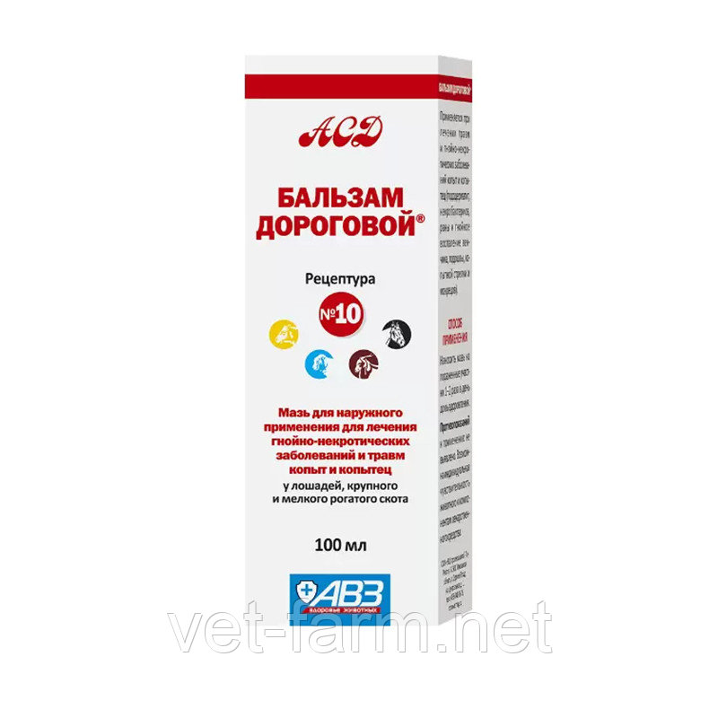 Бальзам Дороговой рецептура №10 (100 мл), фото 1