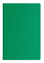 AGND Ежедневник Caribe