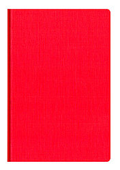 AGND Ежедневник Caribe