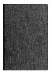 AGND Ежедневник CAPRI