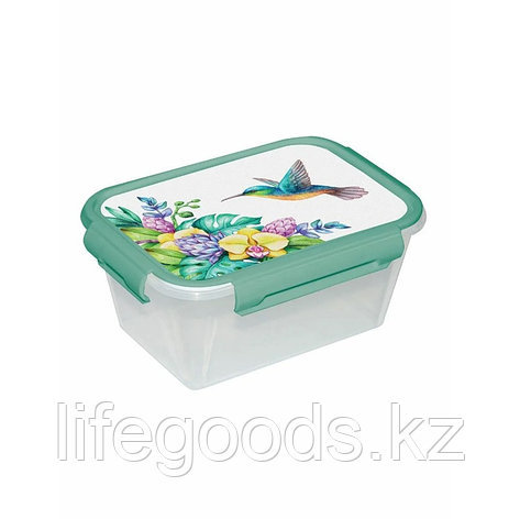 Контейнер прямоуг. 0,8л "Колибри" 3920842, фото 1