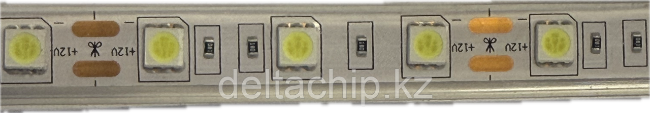 Led  SMD 5050 CW светодиод