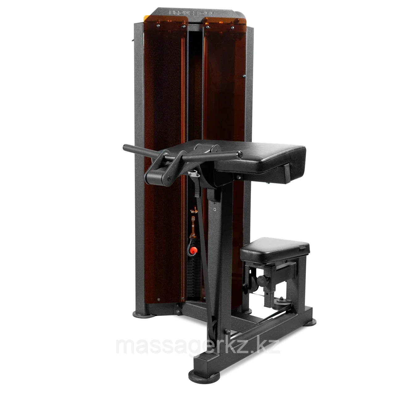 Бицепс машина профессиональный BRONZE GYM PARTNER ML-803, фото 1