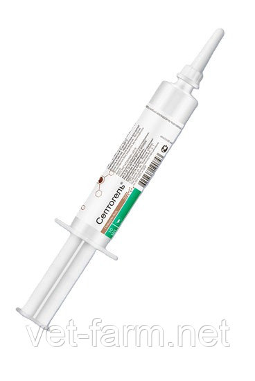 Септогель шприц (10 мл), фото 1