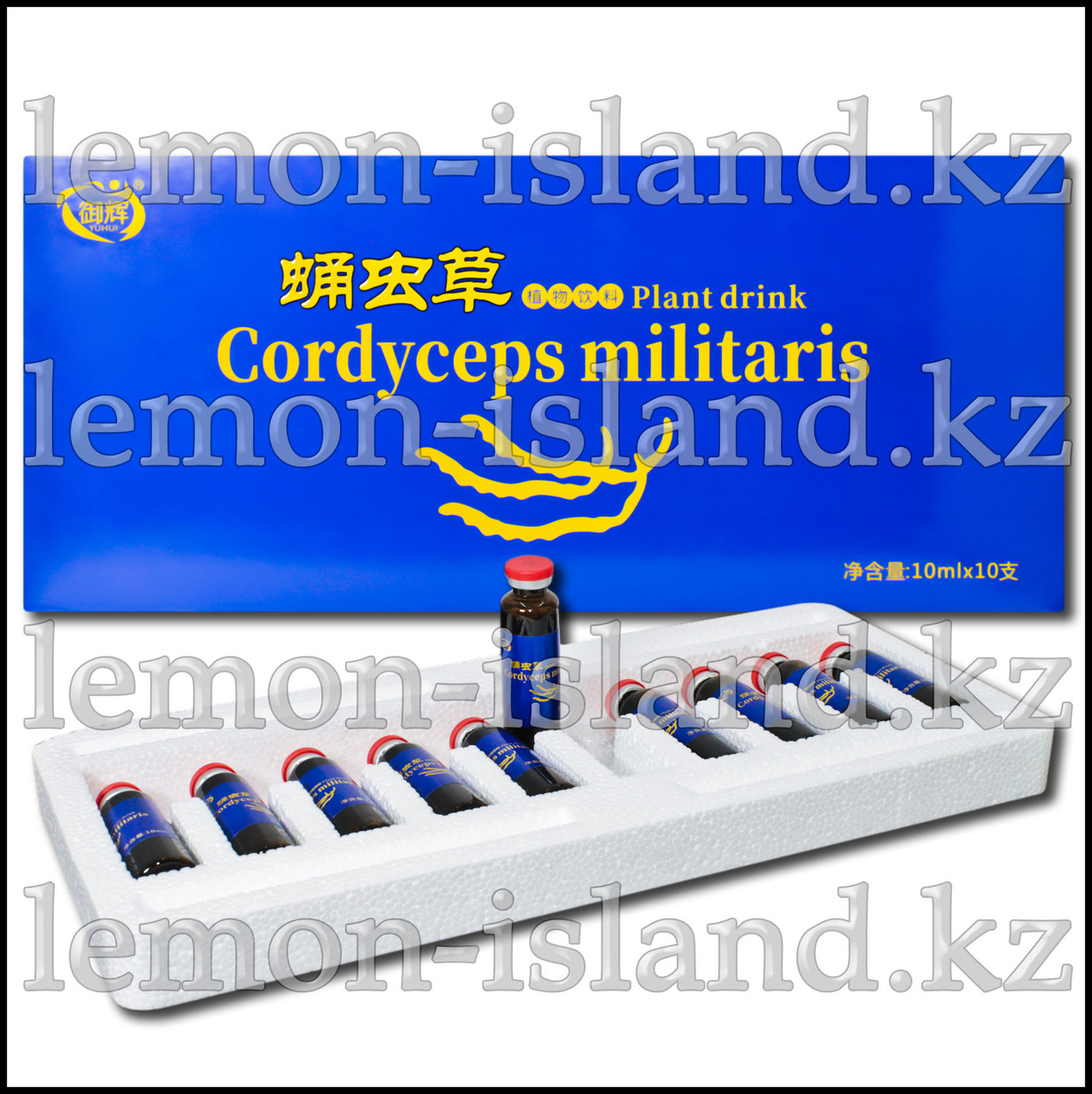 Эликсир Кордицепс Милитарис (Cordyceps Militaris)