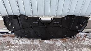 Защита под бампер большая Camry 70