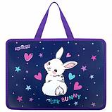 Папка на молнии с ручками ЮНЛАНДИЯ А4, 1 отделение, пластик, 80 мм, "Fluffy Tail", 272161, фото 3