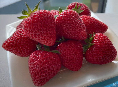 Клубника Петра Р9 (заморозка), фото 1