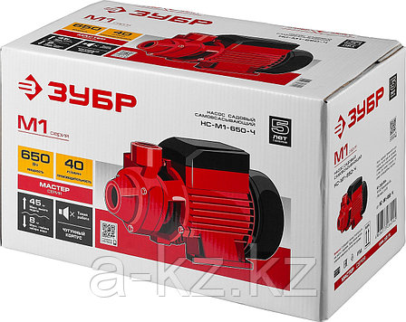 ЗУБР 650 Вт , поверхностный вихревой насос, корпус из чугуна (НС-М1-650-Ч), фото 1