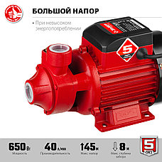 ЗУБР 650 Вт , поверхностный вихревой насос, корпус из чугуна (НС-М1-650-Ч), фото 3