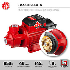 ЗУБР 650 Вт , поверхностный вихревой насос, корпус из чугуна (НС-М1-650-Ч), фото 5