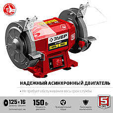 ЗУБР d 125 мм, 150 Вт, заточной станок (СТ-125), фото 3
