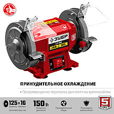 ЗУБР d 125 мм, 150 Вт, заточной станок (СТ-125), фото 5