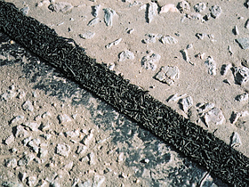 Premier™ Skid Resistant Overbanding Tape