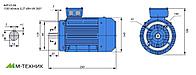 Электродвигатель АИР 63 В4 0,37 кВт 1500 об/мин IM 3681 (Малый фланец) ГОСТ 31606-2012