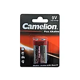 Батарейка CAMELION Plus Alkaline 6LR61-BP1, фото 2