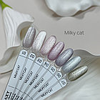 Гель лак Galaxy Milky Cat №01, 9g, фото 3
