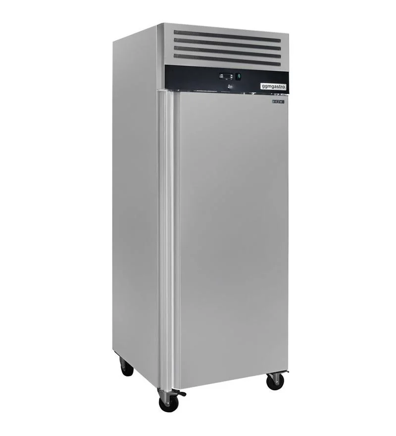 Шкаф холодильный низкотемпературный TG700ND, размеры 740x830x2010 мм, объем 700 л, мощность 0,65 кВт, напряжение 220 В