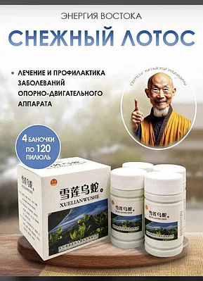 Bang бандасының жеке порно фотосуреттері