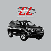 Land Cruiser 200 (2007-2015)