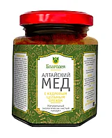 Мёд с кедровым орехом
