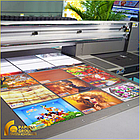 Печать на ПВХ УФ (UV), фото 10