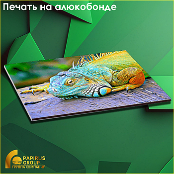 Широкоформатная печать на алюкобонде УФ (UV)